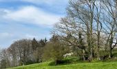 Percorso Marcia Braine-le-Château - #230421 - Braine-le-Château > Bois d'Apecheau et d'Oisquerq, dont 4 km du GR 127 - Photo 13