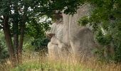 Tour Wandern Trégastel - Trecastel - Photo 16