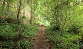 Trail Walking Mettet - Biesmerée - Ermeton  - Photo 1