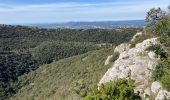 Tocht Trail Cheval-Blanc - Campanette-Bedoin-L’Ubac-Vidauque(25K 720D+) - Photo 2