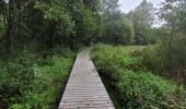 Tocht Stappen Sainte-Ode - rando beauplateau 24-08-2023 - Photo 6