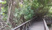 Trail Walking Samborondón - Parque histórico de Guayaquil - Photo 14