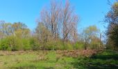 Trail Walking Tongeren - reser e de kevie - Photo 12