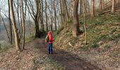 Trail Walking Trooz - la fenderie  - Photo 1
