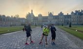 Randonnée Marche nordique Fontainebleau - Ronde des trois châteaux.   - Photo 4