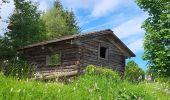 Tocht Stappen Hinterzarten - Hinterzarten - Mathisleweiher - Photo 4