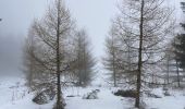 Percorso Racchette da neve Besse-et-Saint-Anastaise - Lac pavin pealat  - Photo 5