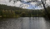 Excursión Senderismo Maastricht - autour de la carrière Montagne St Pierre  - Photo 17