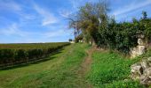 Trail Walking Montsoreau - Montsoreau - GR3 Turquant Parnay Souzay - 15km 185m 3h30 - 2023 10 01 - Photo 2