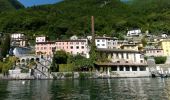 Tour Zu Fuß Brienno - Sentiero botanico di Brienno - Photo 9