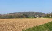 Randonnée Marche Heuvelland - Kemmel 16,8 km - Photo 14