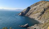 Tour Wandern Cerbère - Cerbère-Port Bou -Colera - Photo 16