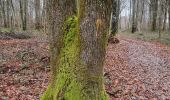 Tour Wandern Laines-aux-Bois - Les grandes vallées 11km réel - Photo 1