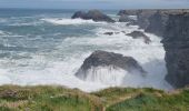 Excursión Senderismo Sauzon - Belle île les Poulains grand phare 18 mai 2022 CA  - Photo 6