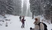 Randonnée Raquettes à neige Autrans-Méaudre en Vercors - La Quoi La Grande Brèche 2020 - Photo 5