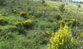 Tour Wandern Le Broc - Mouton d'Anou en boucle depuis le Broc - Photo 8