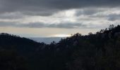 Tocht Stappen Bagnols-en-Forêt - Gorges du Blavet au col de la pierre du coucou - Photo 16