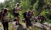 Excursión Senderismo Toulaud - l'Embroye - Photo 18