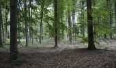 Trail Walking Ottignies-Louvain-la-Neuve - Lauzelle - Circuit Natura 2000, des sites qui valent le détour ! - Bw01 - Photo 3