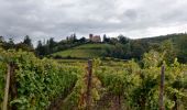 Trail Horseback riding Le Hohwald - SityTrail - 2020-10-14 Rando CVA Hohwald Ribeauville - Photo 2