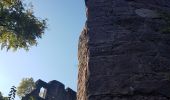 Trail Walking Schramberg - Schramberg - Châteaux de Falkenstein et de Hohenschramberg - Photo 6