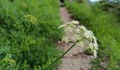 Tour Wandern Saint-Martin-en-Vercors - Pas st Martin - Photo 19