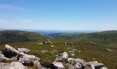 Trail Walking Albepierre-Bredons - Le Plomb du Cantal depuis Prat-De-Bouc - Photo 5