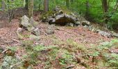 Tour Wandern Eupen - 20250714 - BIOS Ternell - 8.8 Km - Photo 4