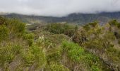 Tour Wandern La Possession - Boucle Marla - La Nouvelle depuis le col des Bœufs - Photo 9