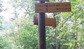 Trail Walking Revel - Montagne 15/08/2023 - Photo 5