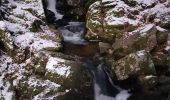 Randonnée Marche Lepuix - Ballon d'Alsace - rando raquettes Etang du Petit-Haut - Ballon d'Alsace - Etang des Roseaux - Cascade du Rummel - Photo 5