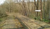 Trail On foot Lunzenau - Via Porphyria Etappe 7 - Photo 1