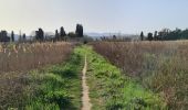 Tocht Stappen Fréjus - étangs de Villepey Saint Aygulf - Photo 14