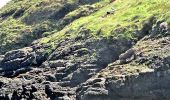 Percorso A piedi Waterford City Metropolitan District - Coast Walk, and road return - Photo 2