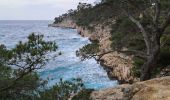 Trail Walking Cassis - Cassis  port miou, morgiou   - Photo 10