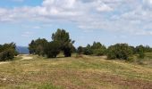 Trail Walking Lézignan-Corbières - LEZIGNAN La pinède par les éoliennes - Photo 1