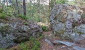 Tocht Stappen Fontainebleau - Fontainebleau sentier Denecourt 9 Est - Photo 2