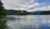 Trail Walking Bled - bled - tour du lac - Photo 9