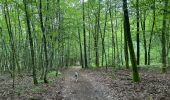 Tour Wandern Étalle - Etalle - cani-balade - Photo 5