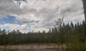 Excursión Senderismo Esneux - à travers les bois d Anthines et d Esneux - Photo 2