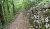 Tour Wandern Esneux - esneux eglise . hony . mery . crevecoeur . avionpuits . fontin . le fy . eglise - Photo 1