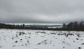 Tocht Stappen Sainte-Ode - rando lavacherie 29/12/2020 - Photo 6