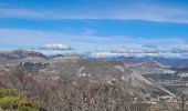 Tour Wandern Séderon - Du Sommet du Négron au Sommet de Larran - Photo 6