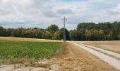 Trail Other activity Charmont-sous-Barbuise - Creney 35 - Photo 8