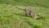 Trail Walking Ceillac - Arvieux Randonnée - Photo 1