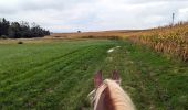 Trail Horseback riding Lampertsloch - suuntoapp-HorsebackRiding-2024-10-02T07-31-37Z - Photo 2