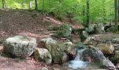 Randonnée Marche Spa - barisart . geronstere . creppe . barisart - Photo 13