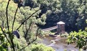 Trail Walking Bouillon - la balade des points de vue n 1 - Photo 4