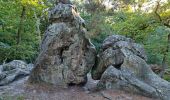Randonnée Marche Fontainebleau - Sentier Denecourt 1 - Photo 20