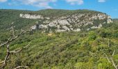 Percorso Mountainbike Prémian - balcon des albieres - Photo 3